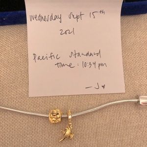 Genie lamp & lion king charms only | 2 for 1 deal
